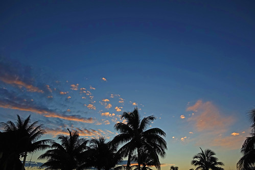 sunset playa pesquero holguin holguín province cuba palm palms tree trees sky cloud clouds blue hour silhouette ipm