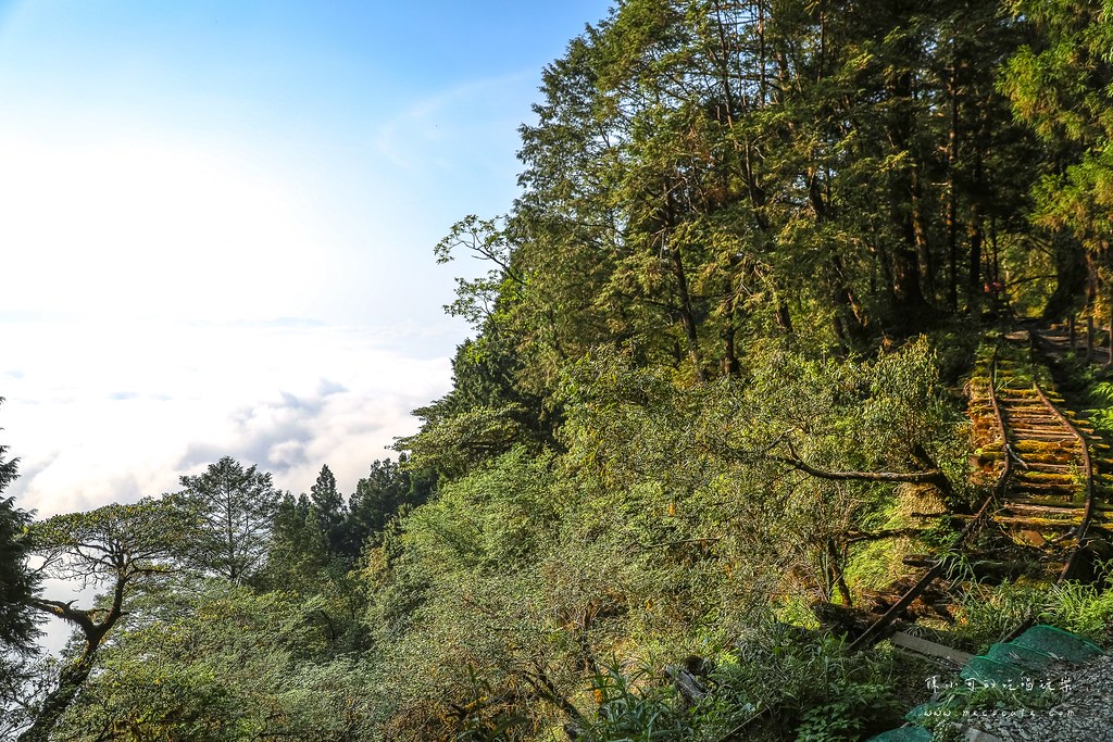 宜蘭,宜蘭一日遊,宜蘭太平山一日遊,宜蘭太平山景點,宜蘭旅遊,宜蘭景點,見晴懷古步道,見晴懷古步道停車場,見晴懷古步道蹦蹦車,見晴懷古步道雨天 @陳小可的吃喝玩樂