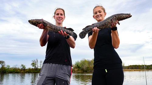 Photo of two girls each holding a snakehead fish