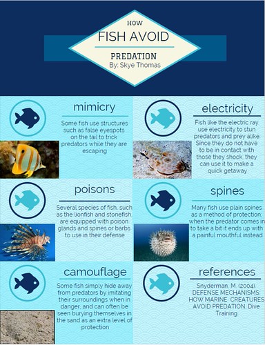 Infographic | by Skye Thomas