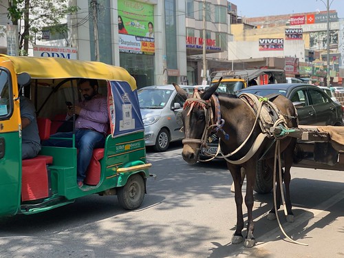 Mission Delhi - Unnamed Mule, Gurgaon