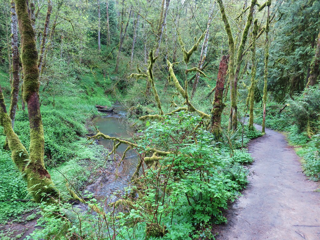 Middle Creek Trail