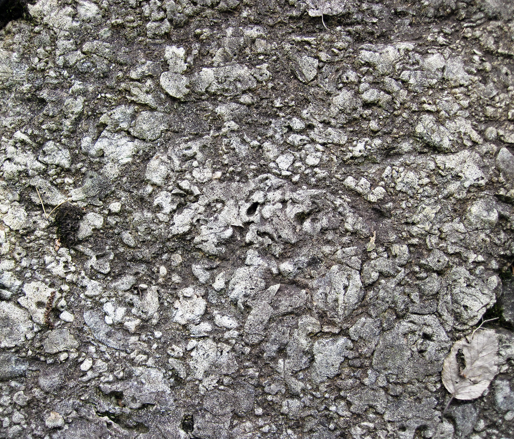 Basaltic lapillistone (Middle Tholeiitic Unit, Kidd-Munro Assemblage, Neoarchean, 2.711-2.719 Ga; just east of the Potter Mine, east of Timmins, Ontario, Canada) 4