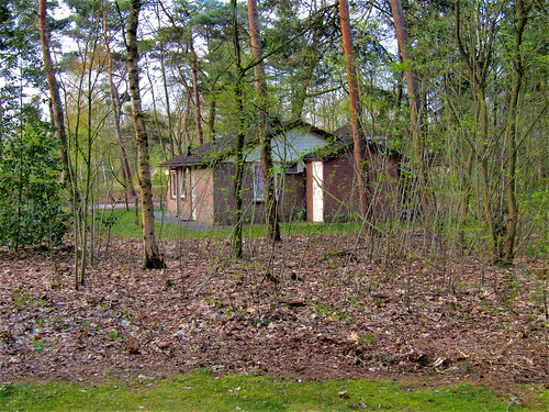 bungalow at Holiday Park Westerbergen in Drenthe