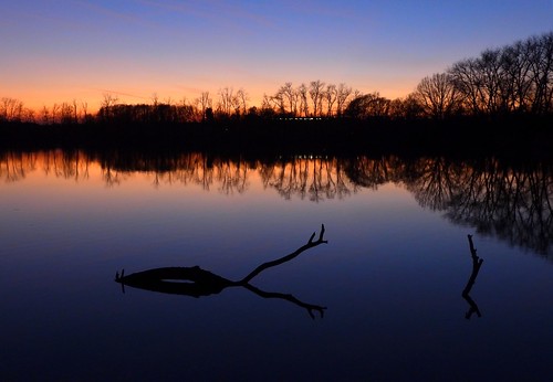 ostrava polankanadodrou nikoncoolpixp1000 ultrazoom voda water rybník pond mokřady wetlands ramsarwetlands stín hadow silueta silhouette příroda nature 2019 jaro spring západslunce sunset