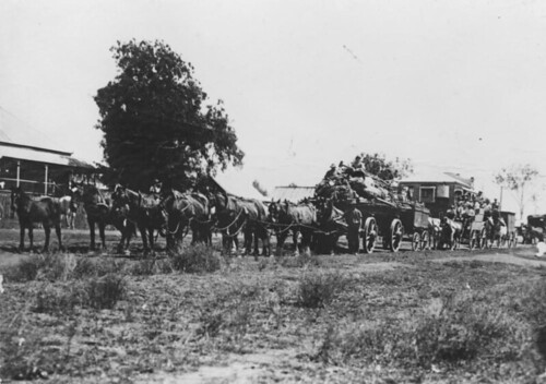 queensland statelibraryofqueensland circus horses wagons wagontrain