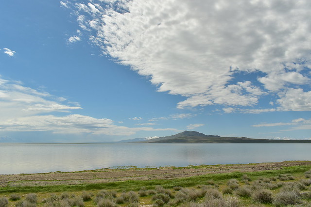 Antelope Island in the spring
