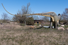 Dinopark Mölchow