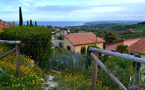 sirolo conero rivieradelconero marche postcard italia italy sea landscape flowers view