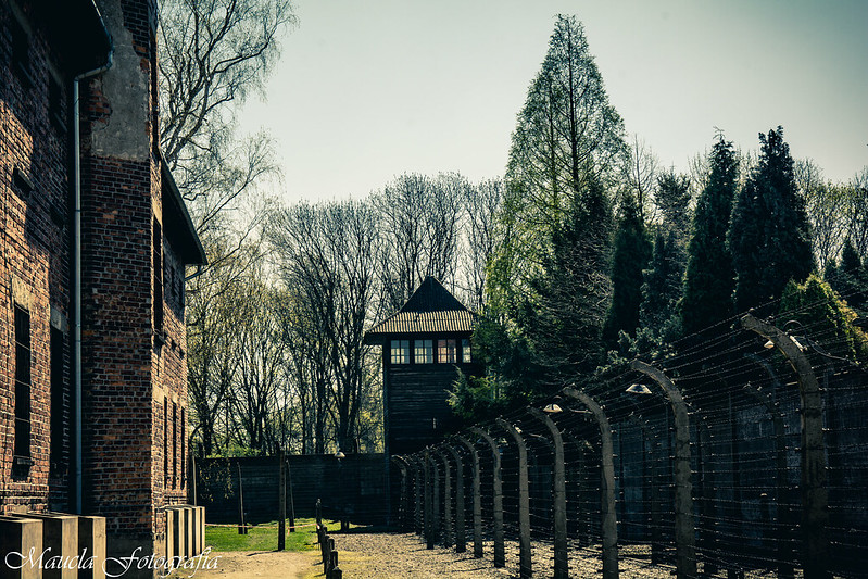 4 días  en Cracovia - Blogs de Polonia - Día 2: Auschwitz, Plaza del Mercado y free tour "Leyendas de Cracovia" (5)