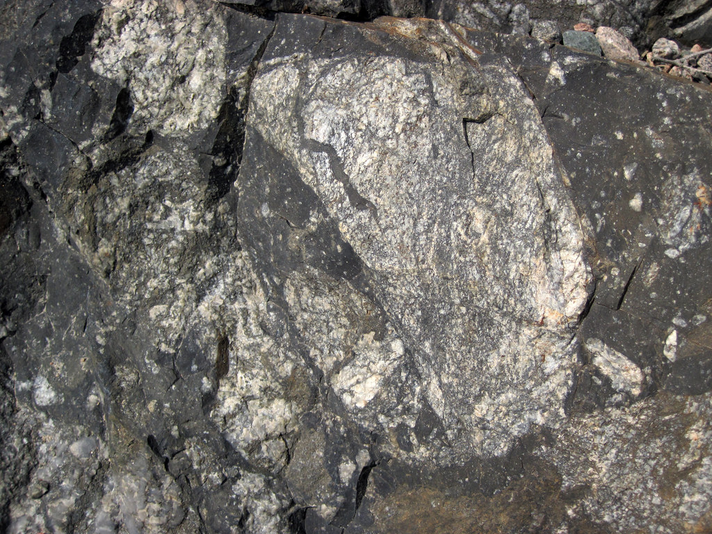 Clast-rich impact pseudotachylite (Sudbury Breccia, Paleop… | Flickr