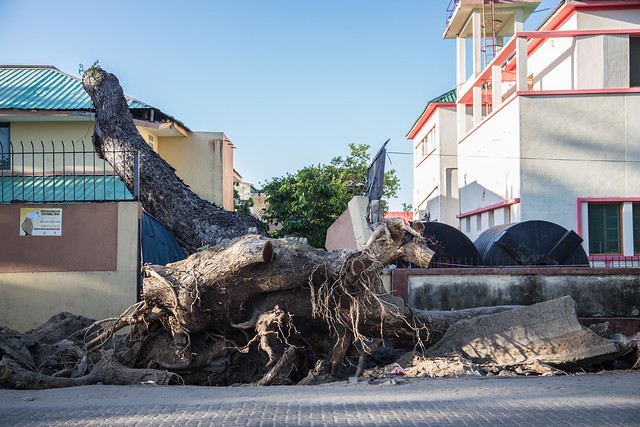 Damage in Beira after Cyclone Idai