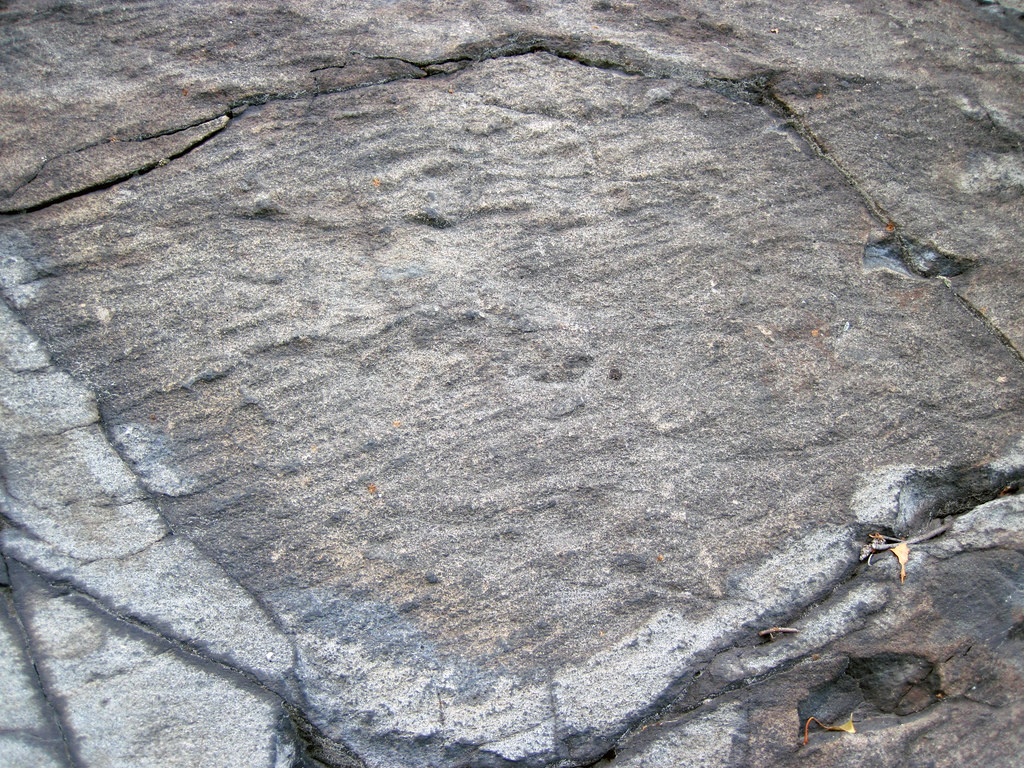 Metagraywackes (Chelmsford Formation, Paleoproterozoic, 1.74 Ga; Larchwood North outcrop, Sudbury Impact Structure, Ontario, Canada) 30