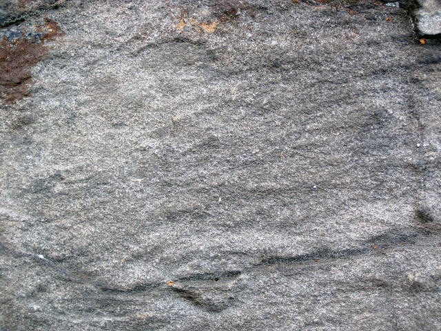 Metagraywackes (Chelmsford Formation, Paleoproterozoic, 1.74 Ga; Larchwood North outcrop, Sudbury Impact Structure, Ontario, Canada) 34