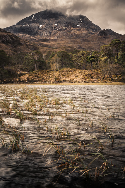 in the Torridon area | Wester Ross