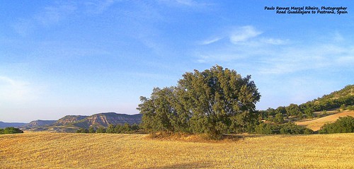paisagem landscape espanha spain españa castillalamancha pastrana