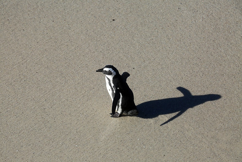 Cape Town