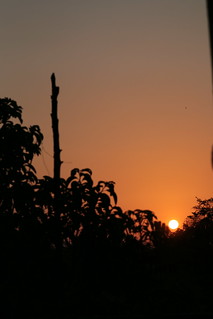 Sonnenaufgang in Palenque