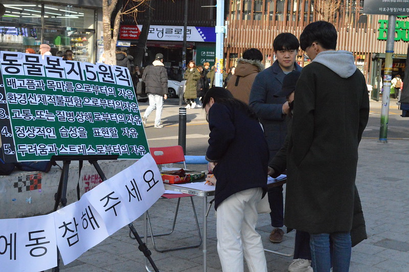 201901_동물카페OUT_23기직접행동 (22)