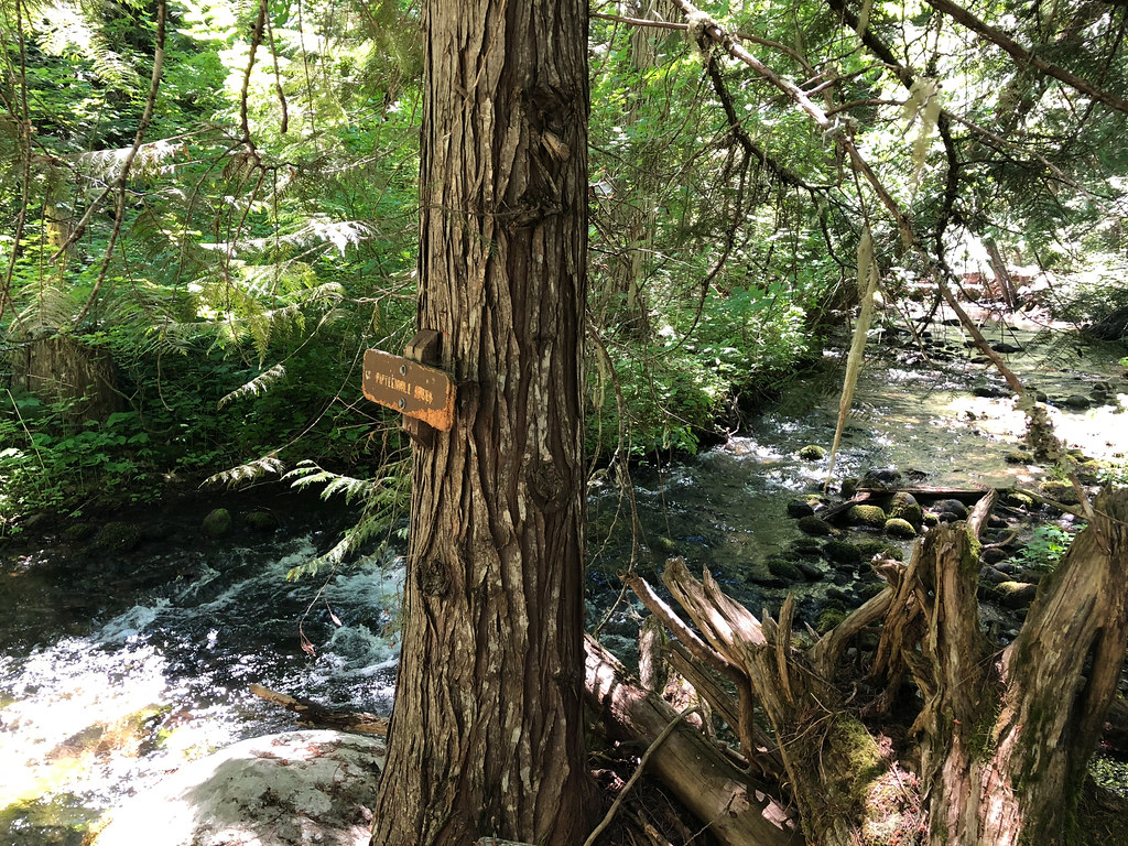 Cedar Creek