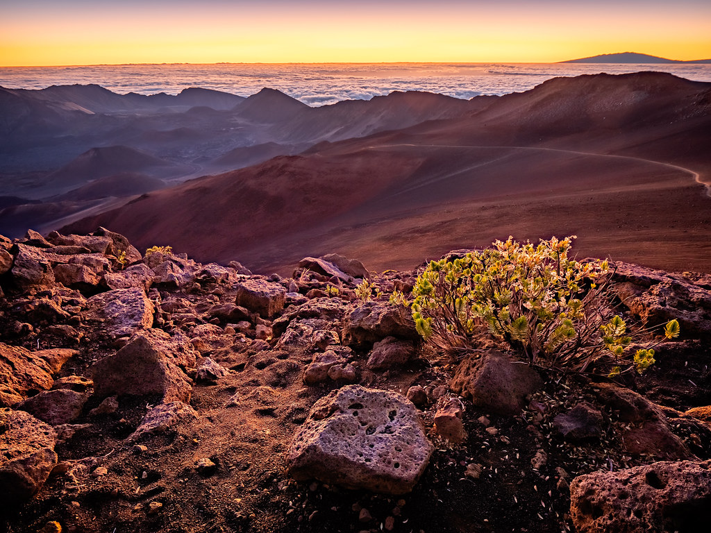 Mars Sunrise
