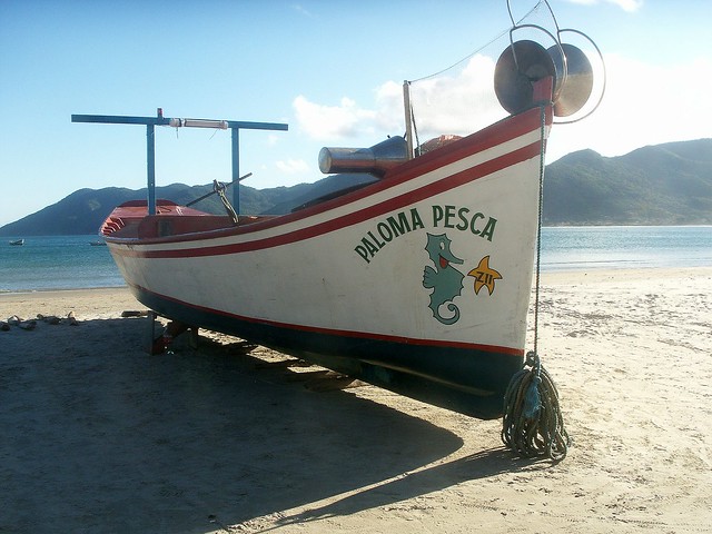 Paloma - Barco da Pesca