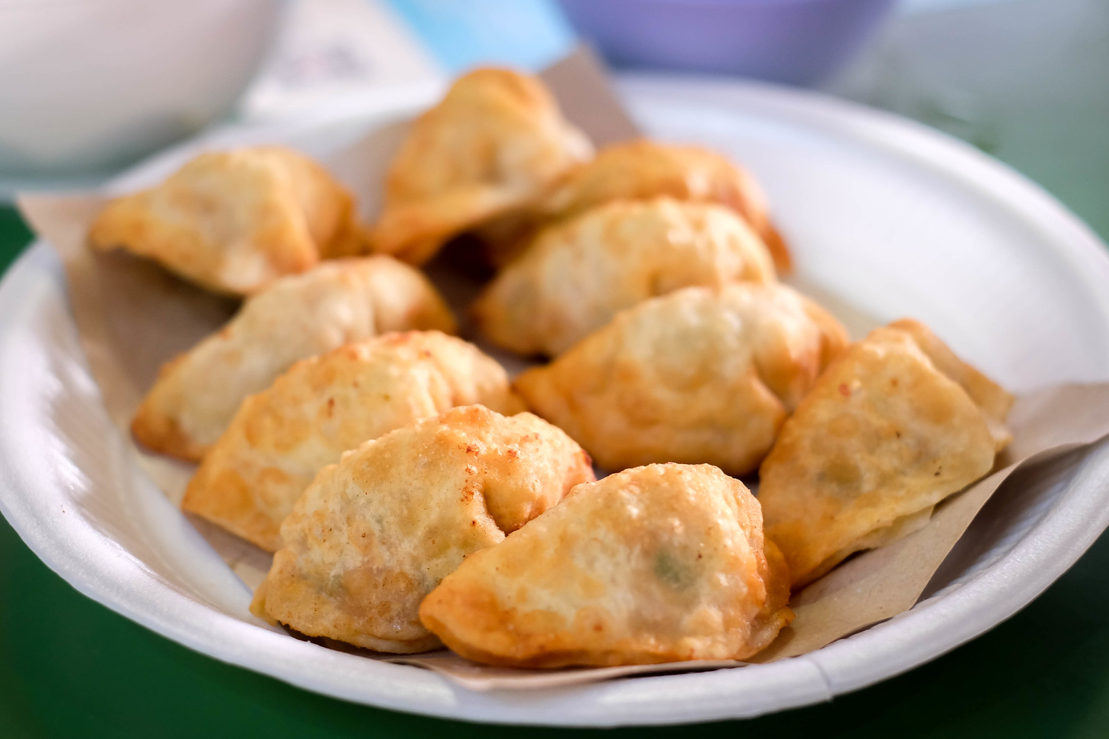 Shang Hai Timsum Fried Dumpling