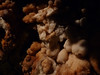 Koněpruské jeskyně, foto: Petr Nejedlý