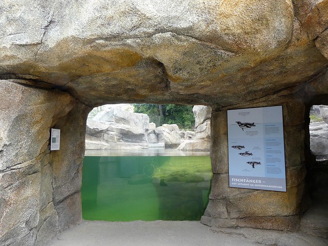 Zoo Frankfurt