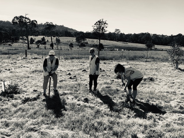 2019 Smartgroup planting day, Mount Carmel Retreat, NSW