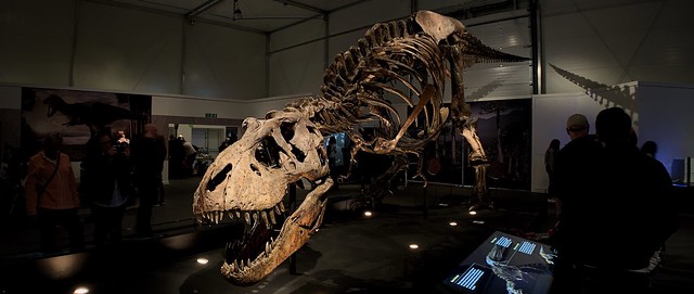 Trix the T.rex, Glasgow