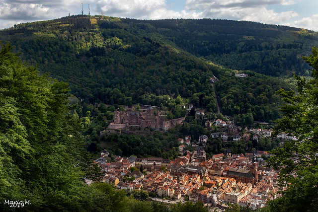 Blick vom Heiligenberg auf Heidelberg