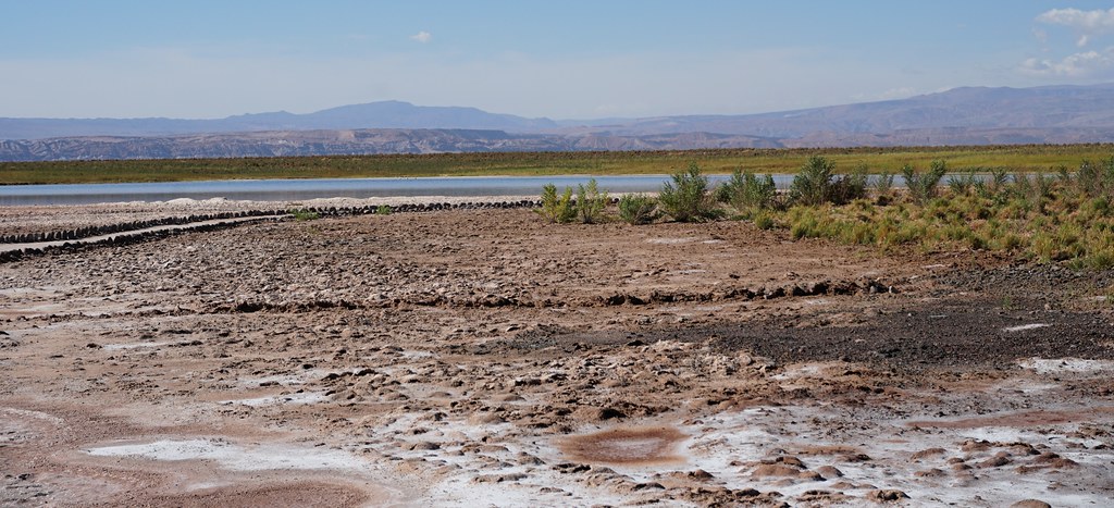 The Cejar Lagoon (Laguna Cejar) at 2,400 meters (8,000 ft) above sea level, the Salar de Atacama, the Atacama Desert, San Pedro de Atacama, Chile.