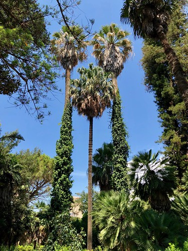 santamargheritadibelice agrigento sicilia sicily italia italy natura arte storia alberi piante fiori ville giardino