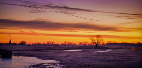 field gibbon nebraska sunrise ne sky color orange tree winter ice clouds sand hill crane travel midwest rwgrennan rgrennan ryan grennan nikon d6100 nature outdoors beautiful morning