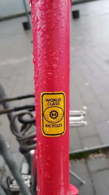 Bike head badge