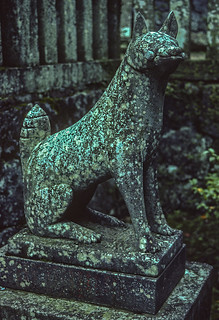 Kitsune | I think its a fox - corrections please Inari shrin… | Flickr