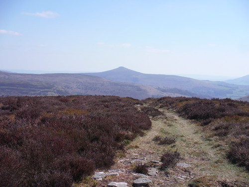 View down flank of Pen Twyn Glas towards Sugar Loaf, without Wild Pony SWC Walk 333 - Crickhowell Circular (via Table Mountain and the Three Pens)