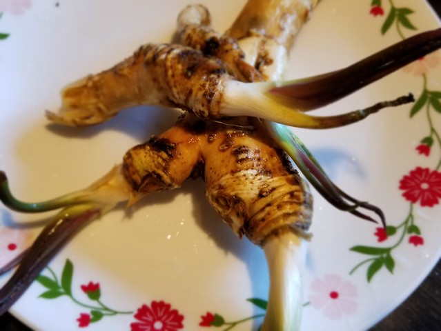 20190417.horseradish.roots.cleaned