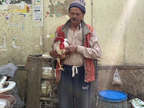 Mission Delhi - Mukesh the Chicken, Old Delhi