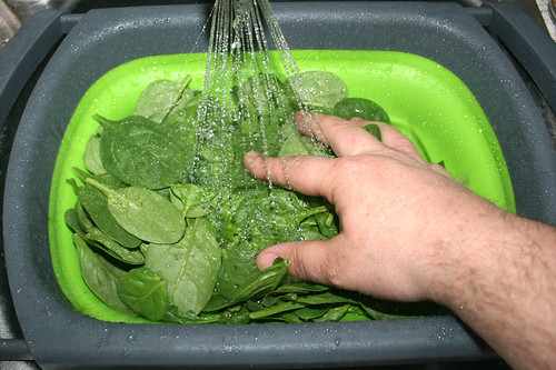 01 - Blattspinat waschen / Wash leaf spinach