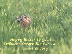 Happy Easter! - Fröhliche Ostern!