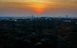 Sunset over Cubbon Park viewed from JW Marriott Hotel Bengaluru - Bangalore India