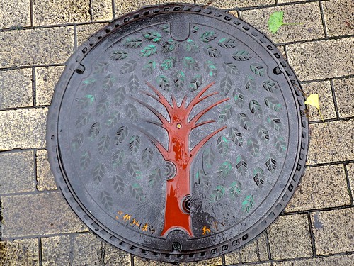 Sagamihara Kanagawa, manhole cover 2 （神奈川県相模原市のマンホール２）