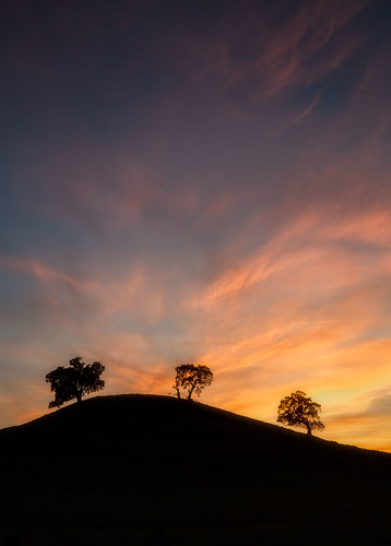 landscape sunset folsom sacramento california silhouette cloud oak tree trees pastel hill hillside foothill foothills canon sony nikon fuji outdoors nature travel