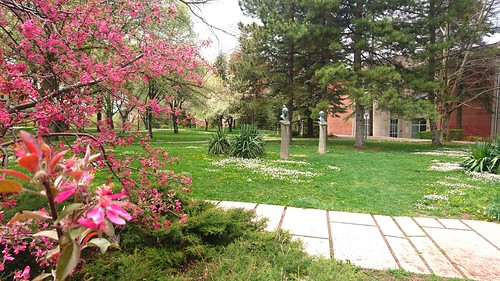flower odtü green campus university grass trees pine sculpture