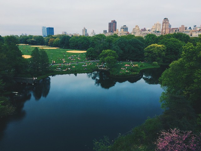 A urban forest