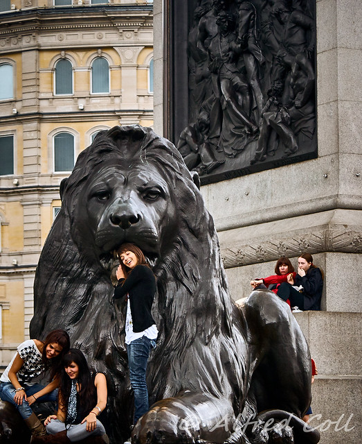 Hungry Lion Eats Woman