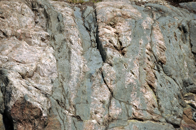 Dikes intruding tillite (Nipissing Diabase & Gowganda Formation, Paleoproterozoic; Percival Lake roadcut, Ontario, Canada) 4
