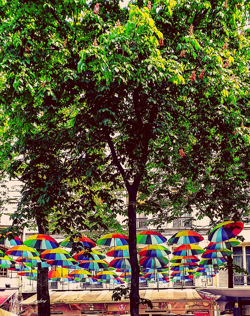 Ombrelles #Paris #ruedesarchives #leju #ParisIV café #citylife #colors #spring #photography #place #placetosee #travel #ParisMaVille #Parisphotography #umbrella #trees #green #Parisianlife #sunnyday